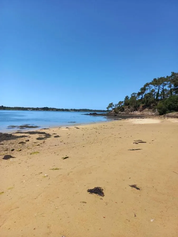 Superbe appartement sur le Port de Saint Goustan Auray